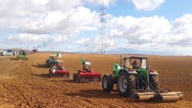 Photo de Inondations/Indemnisation des agriculteurs : L’attachement du président de la République au principe de justice sociale salué