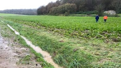 Photo de Inondations/Agriculteurs : L’UNPA se félicite des mesures annoncées en Conseil des ministres   