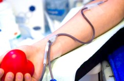 Photo de Alger : Grande affluence des fidèles à Djamaâ à El Djazaïr pour faire don de leur sang