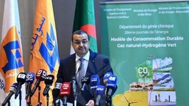 Photo de Mohamed Arkab l’a affirmé hier à Alger : Elaboration d’un modèle énergétique national à vision prospective