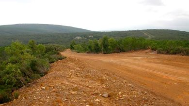 Photo de Tiaret : Réalisation et aménagement de plus de 180 km de pistes forestières