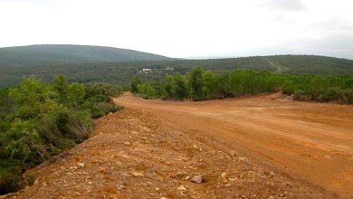 Photo de Tiaret : Réalisation et aménagement de plus de 180 km de pistes forestières