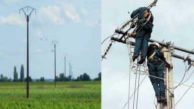 Photo de Aflou : 24 exploitations agricoles raccordées au réseau d’électricité