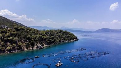 Photo de Selon la FAO : L’aquaculture dans le monde dépasse pour la première fois la pêche
