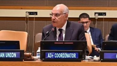 Photo de Conseil de sécurité : Attaf préside à New York une réunion des ministres des Affaires étrangères du groupe A3+