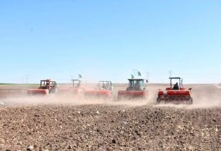 Photo de Saison agricole 2024/25 : Cherfa annonce plus de 3 millions d’hectares dédiés aux céréales