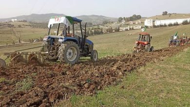 Photo de Médéa : La première phase du programme de numérisation des activités agricoles mise en œuvre